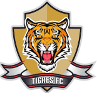 Tigres U19