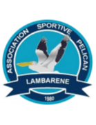 Pelican Lambarene